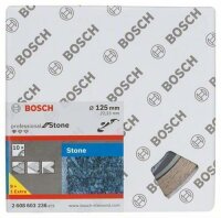 BOSCH 10St. DIA-TS 125x22,23 Std. Stone