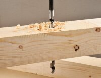 Bosch Holz Schlangenbohrer von 6 bis 32mm